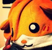 キャ