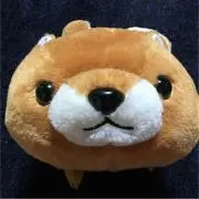みゆきちの画像