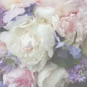 Reiの画像