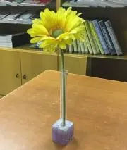 rashaの画像