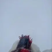 もりもんの画像