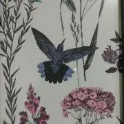 かおりんの画像