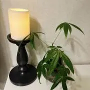 flour workerの画像