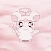 Oの画像