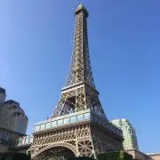 どんちゃんの画像