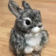 うさっちの画像