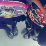 ぽんの画像