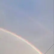 とさの画像