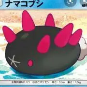 なまこぶし(プロフィールご確認ください)の画像