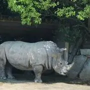 NOMAD☆プロフ必読の画像
