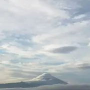 Jurkの画像