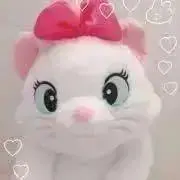 はしこ☺︎の画像