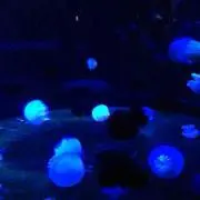 ＊じゅん＊購入前に在庫確認お願いします