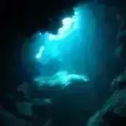 vanvanの画像