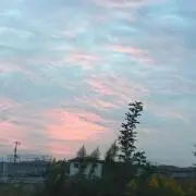 maroの画像