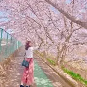 あみ
