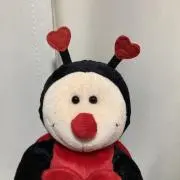 Yoshiの画像