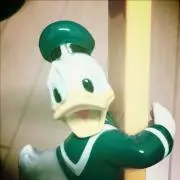 50の画像