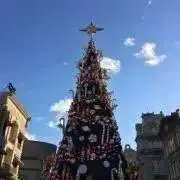 とんちゃんの画像