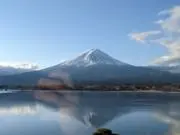 アーヴィンの画像