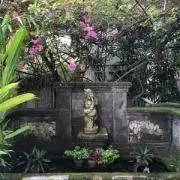 mamiの画像