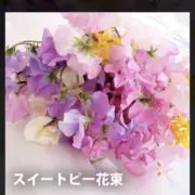 みやさん即日発送の画像