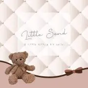 LittleSend