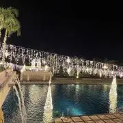 みみの画像