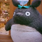 ちょきの画像