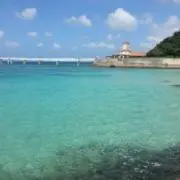 soraの画像