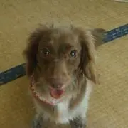 はるまま♡プロフ確認下さい