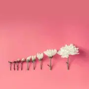あつの画像