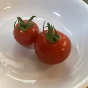 リコピンの画像