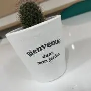 ヒロの画像