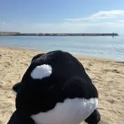 さくの画像