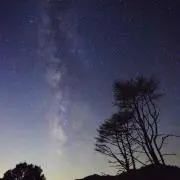 AAAプロフィール必読の画像