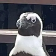 なも