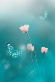 えがお(⁠^⁠^⁠)