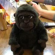 てりやきチキン