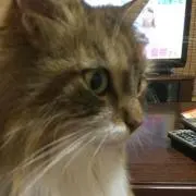 さなぽん