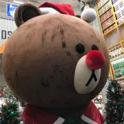 gen◡̈⃝︎