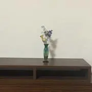 ksviの画像