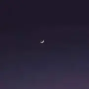 ｙ
