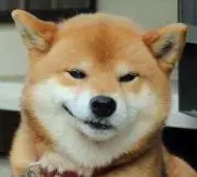 らいむらいと
