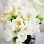 ☆なないろ☆