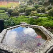 たけの画像