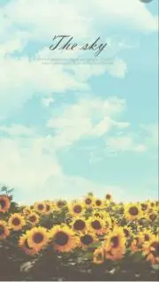さおちんの画像
