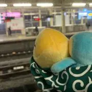 まこすけ