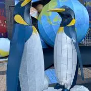 じょんの画像