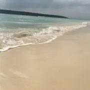 はりるの画像